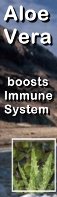 Ormus Minerals - Aloe Vera Boosts Immune System